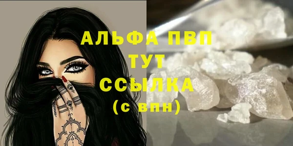 молекула духа Киреевск