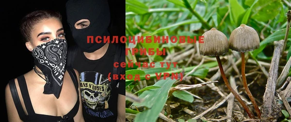 молекула духа Киреевск