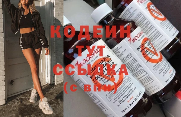 сатива Губаха