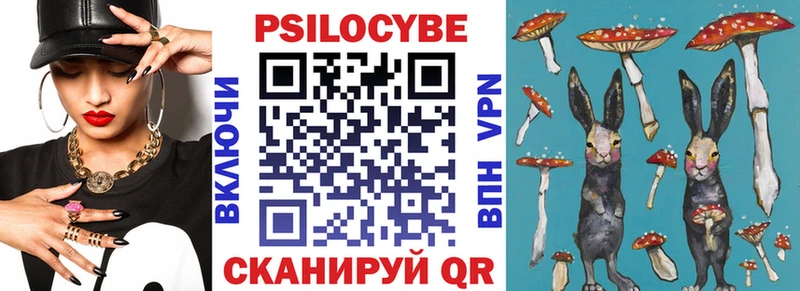 где найти наркотики  Княгинино  Галлюциногенные грибы Psilocybine cubensis 